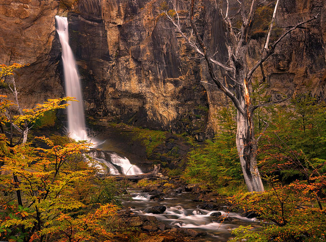 A beautiful waterfall among the colorful Lenga trees of Patagonia.